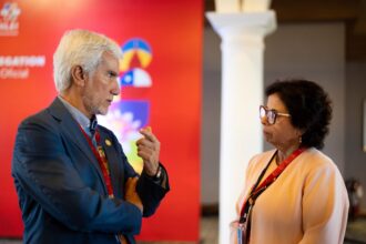 Ministra Williams destaca oportunidades de cooperación en minería para la transición energética en India