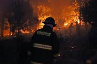 Municipio de Concepción presentará tres querellas por incendios y ataques a Bomberos