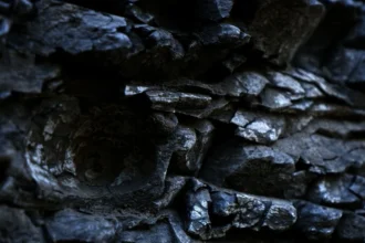 Negociaciones de India con Zambia por minerales críticos se estancan por falta de garantías sobre derechos mineros