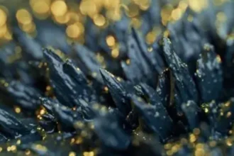 NeoTerrex Minerals analiza el 12,87% de TREO en su proyecto Revolver, incluido el 2,1% de óxido de neodimio