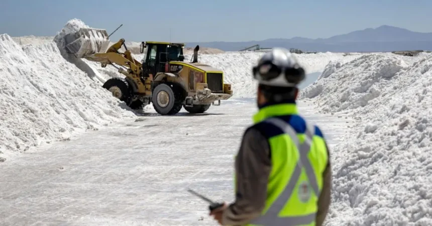 Novandino Litio: SQM registra 3 marcas para cubrir desde la extracción hasta la formación ambiental junto a Codelco