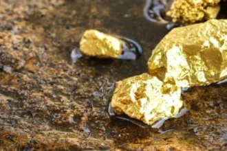 Nuevo plan estatal: compra directa de oro para combatir minería ilegal