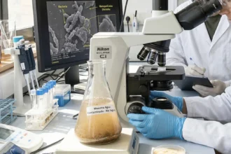Nuevo sistema biohíbrido elimina 94% de uranio en aguas contaminadas por minería