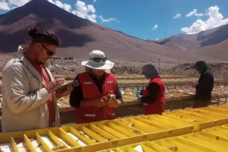 Nuton de Rio Tinto abre un nuevo flanco para el cobre “verde” y tensiona el debate regulatorio en Mendoza