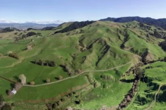OceanaGold reporta nueva zona de alta ley fuera de reservas en Wharekirauponga, Nueva Zelanda