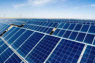 Paneles solares chinos: el salto de 16,8 GW registrados que está reordenando el mercado eléctrico sudafricano