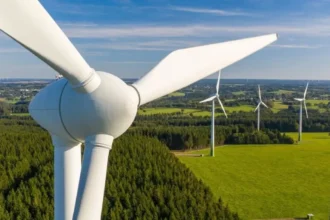 Parque Eólico Las Lilas: inversión por US$5.100 millones posiciona al Biobío entre los mayores proyectos energéticos de 2026