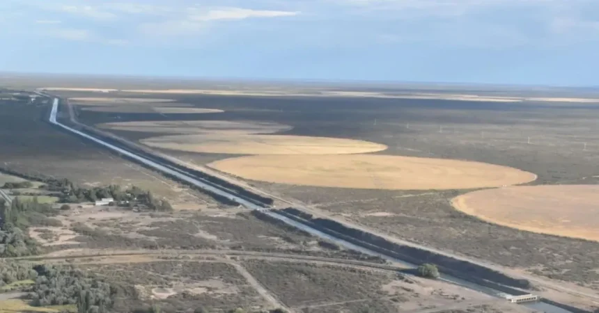 Patagonia impulsa desarrollo agrícola con nuevos incentivos fiscales y energéticos