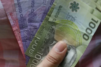 ¿Quiénes son Elegibles para la PGU en 2026? Requisitos y Beneficios