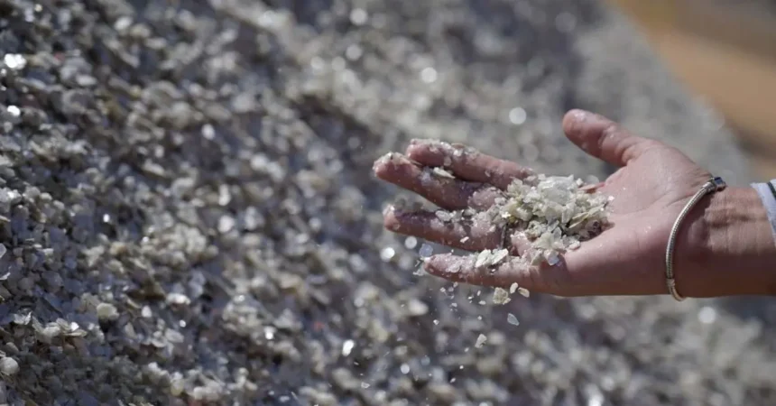 Pentágono pide 13 minerales críticos con proyectos sobre US$500 millones a un día del ataque a Irán