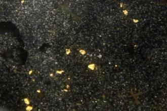 Pepitas de oro en cuarzo: el estudio 2024 que explica por qué aparecen concentradas tras sismos