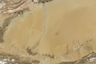Pescado en el desierto de Taklamakán: 196.500 toneladas en 2024 y el plan que tensiona el agua en Xinjiang