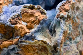 Rare Earths Americas debuta en NYSE y apuesta por el proyecto Shiloh en Georgia