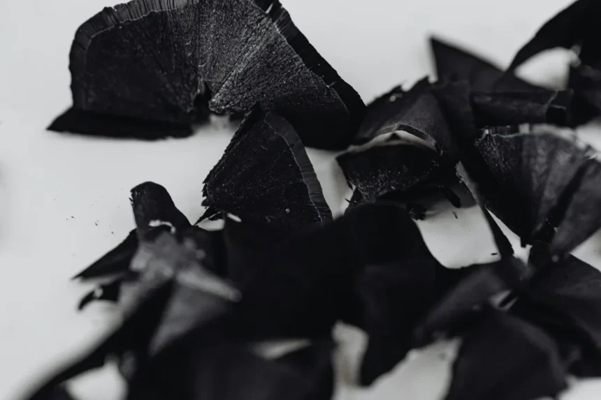 Focus Graphite actualiza recursos en Lac Tétépisca, consolidando uno de los mayores depósitos de grafito del mundo