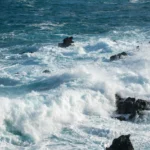 Panthalassa invierte $140 millones en centros de datos flotantes para IA en el Pacífico