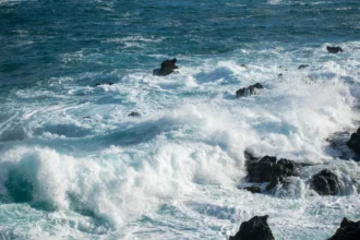 Panthalassa invierte $140 millones en centros de datos flotantes para IA en el Pacífico