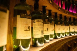 Valle de Colchagua: El destino enoturístico chileno que evoca la Toscana en otoño