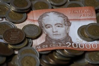 PGU: estas son las personas que no pueden acceder al aporte de hasta $224.000 mensuales