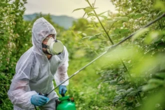 Plaguicidas: Chile es el único país en ruta para recortar 50% el riesgo al 2030, según estudio en Science