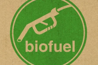 Producción récord de biocombustibles en Brasil impulsa cooperación internacional