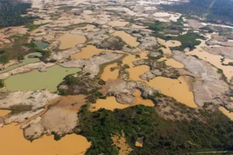 proEXPLO 2026 abordará el avance de la minería ilegal y sus costos para la economía y la seguridad de Perú