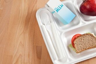 Programa de Alimentación Escolar en Chile: Clave para la Nutrición Diaria de Estudiantes
