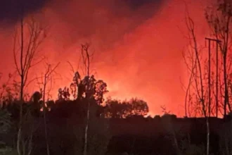 Prohibición de salir del país para imputado por incendio forestal en Chillán Viejo tras investigación por negligencia