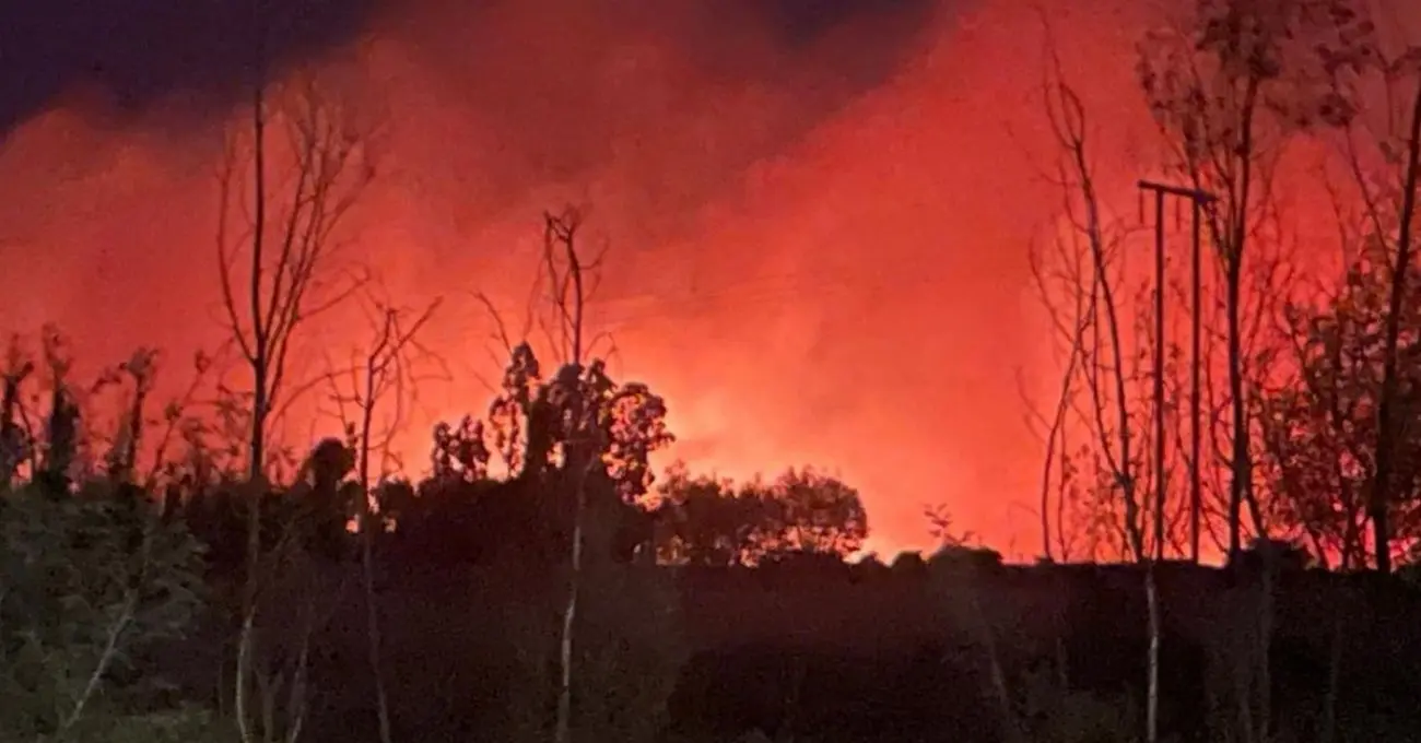 Prohibición de salir del país para imputado por incendio forestal en Chillán Viejo tras investigación por negligencia
