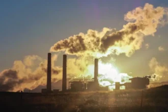Proteínas a partir de CO2: la ruta alemana con 90% de conversión que reduce la dependencia de cultivos