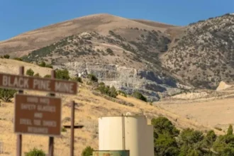 Proyecto Black Pine de Liberty Gold entra a revisión ambiental federal en EE.UU.