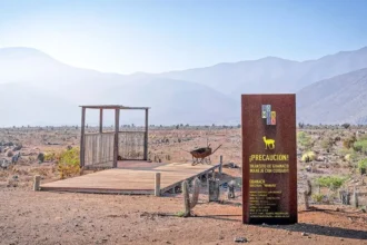 Proyecto Dominga: Corte ordena acto complementario y Andes Iron reafirma continuidad tras 12 años de tramitación