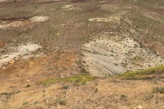 Proyecto «Prospección Minera San Pietro» avanza: SEA aprueba Declaración de Impacto Ambiental para exploración de $15 millones