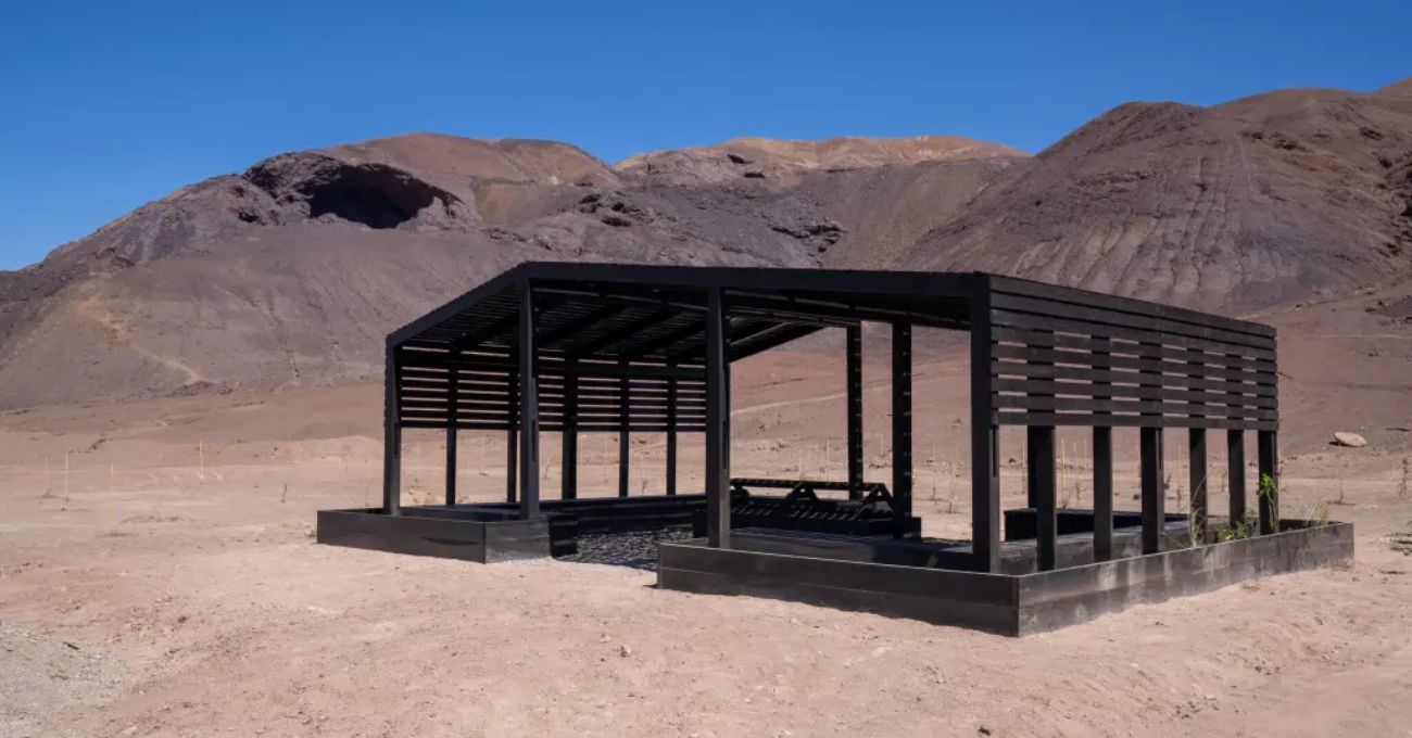 Proyecto «Un Bosque en el Desierto»: Combate a la contaminación en Diego de Almagro