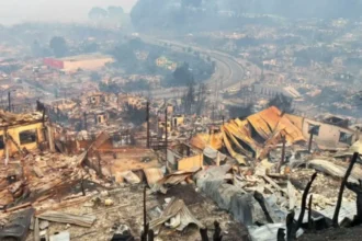 Punta de Parra devastada por los incendios: hasta el 80% del poblado habría quedado destruido
