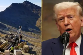 Qué hace Trilogy Metals, la empresa que firmó un acuerdo con Trump y se disparó más de 200% en bolsa