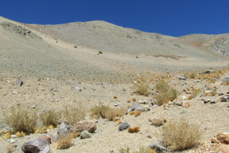 Reclamaciones contra el SEA por proyecto minero: controversia en Chile