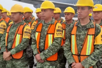Refuerzo internacional contra el fuego: brigadistas mexicanos se suman al combate de incendios en el Biobío
