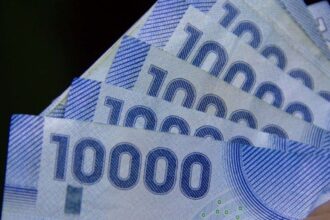 Retiro total del Seguro de Cesantía: guía completa 2025 con pasos y requisitos para pensionados