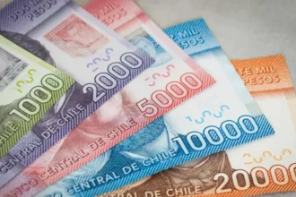 Revisa con tu RUT el Bono de Protección que entrega un pago mensual de 24 meses