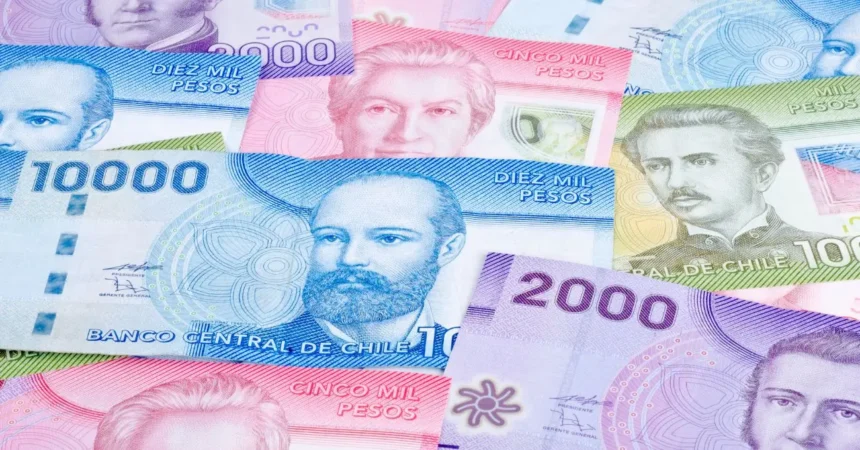 Revisa si tienes pagos pendientes del IPS con tu RUT en ChileAtiende