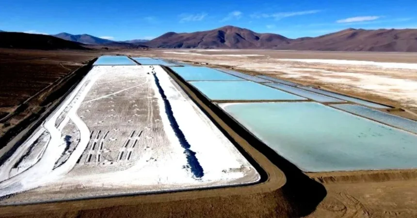 Codelco presenta DIA para explorar litio y probar reinyección de salmuera en Salar de Pedernales