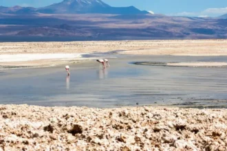 Salar de Atacama: propuesta por 76.138 hectáreas protegidas desata críticas de Codelco, Albemarle y Sonami