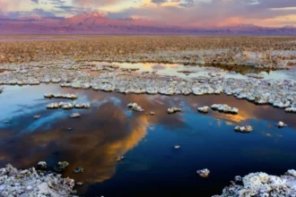 Salar de Atacama: US$1.200 millones en juego por superposición con área protegida y ofensiva de Minera Zaldívar