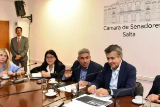 Salta acelera su agenda minera con 35 proyectos de litio y foco en exploración