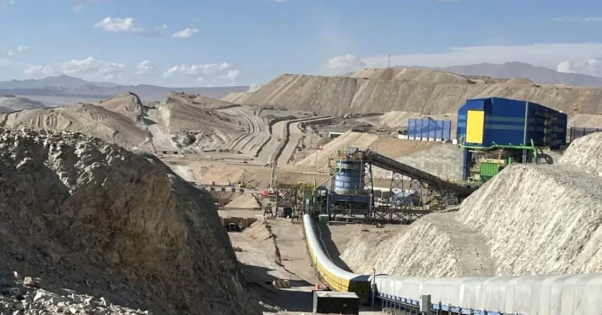 Schwager eleva ingresos, EBITDA y utilidad en 2025 con la minería como principal motor del negocio