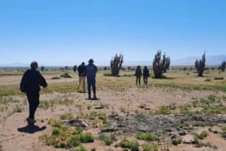 SEA Atacama realiza visita técnica por proyecto fotovoltaico en Huasco