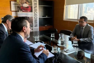 Seguridad minera: Chile y Brasil avanzan en alianza técnica para fortalecer fiscalización y estándares del sector