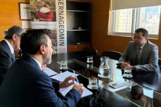 Seguridad minera: Chile y Brasil preparan MoU y fijan cita técnica de mayo por el modelo chileno