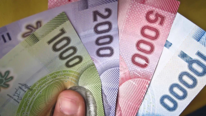 Consulta Fácil: Cómo Saber si Eres Beneficiario del Bono Invierno 2026