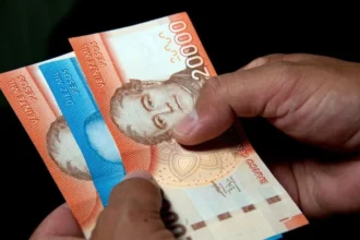 Sercotec abre postulaciones al Capital Semilla Emprende 2026: requisitos y detalles